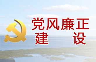 安徽省某市黨風廉政機房采購項目